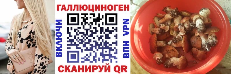 Галлюциногенные грибы мухоморы  OMG как войти  Крым 