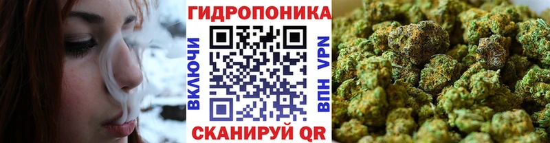 Бошки марихуана семена  hydra рабочий сайт  Крым 